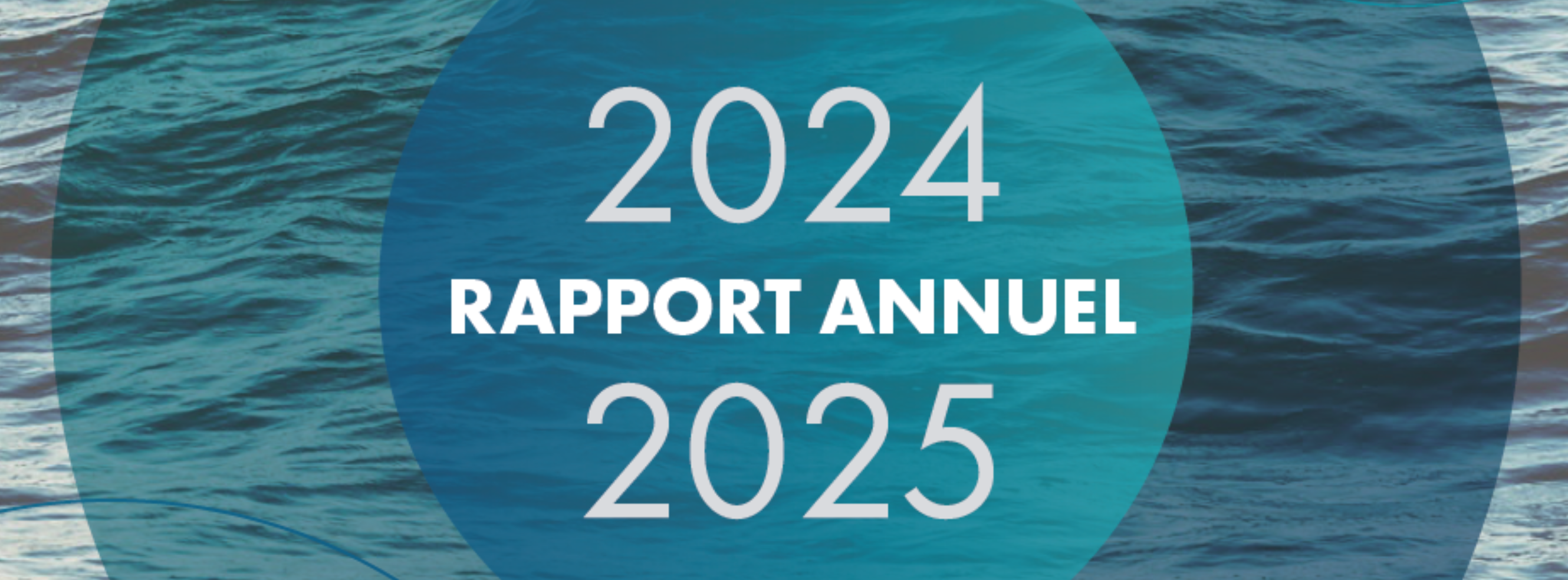 Le rapport annuel 2024-2025 du C-NLOER est maintenant disponible.