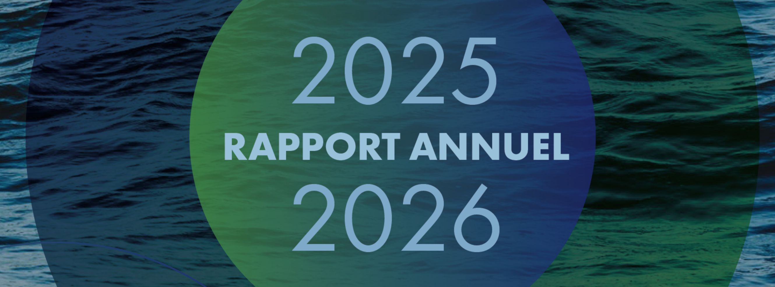 Le rapport annuel 2025-2026 du RC-TNLEE est maintenant disponible.