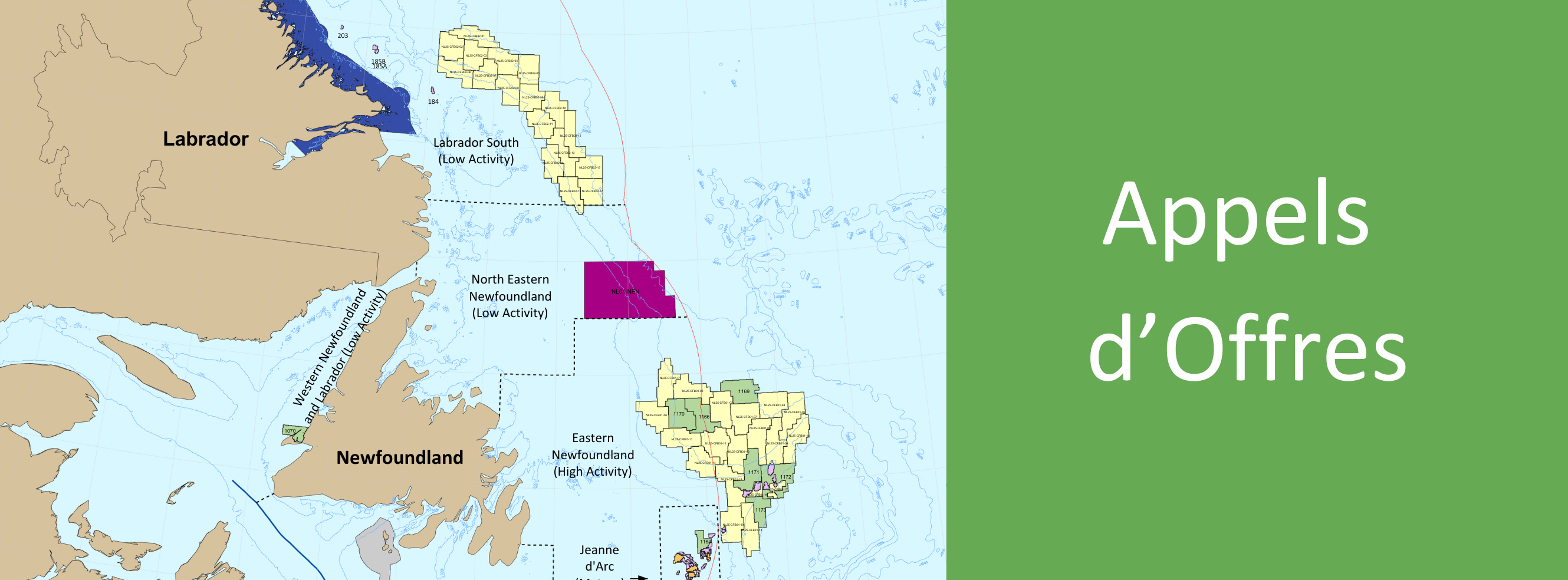 Le C-TNLOHE annonce les appels d’offres pour 2025 dans les régions du sud du Labrador et de l’est de Terre-Neuve.