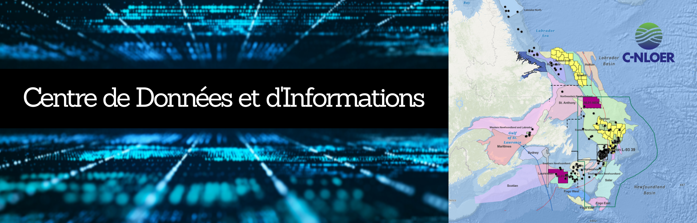 Explorez le Centre de Données et d'Informations de RC-TNLEE